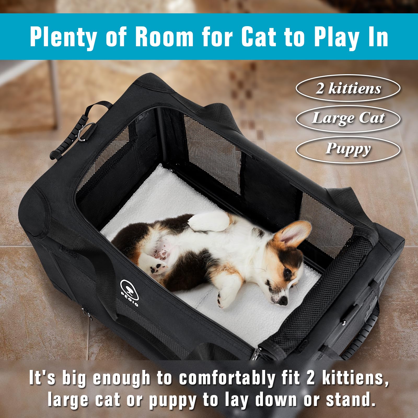 PEGIC extra large cat carrier side view with belt straps for stability during rides.