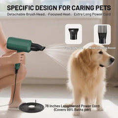 Pehum dog cat hair dryer quick dry modes demonstrates adjustable settings for various coats.