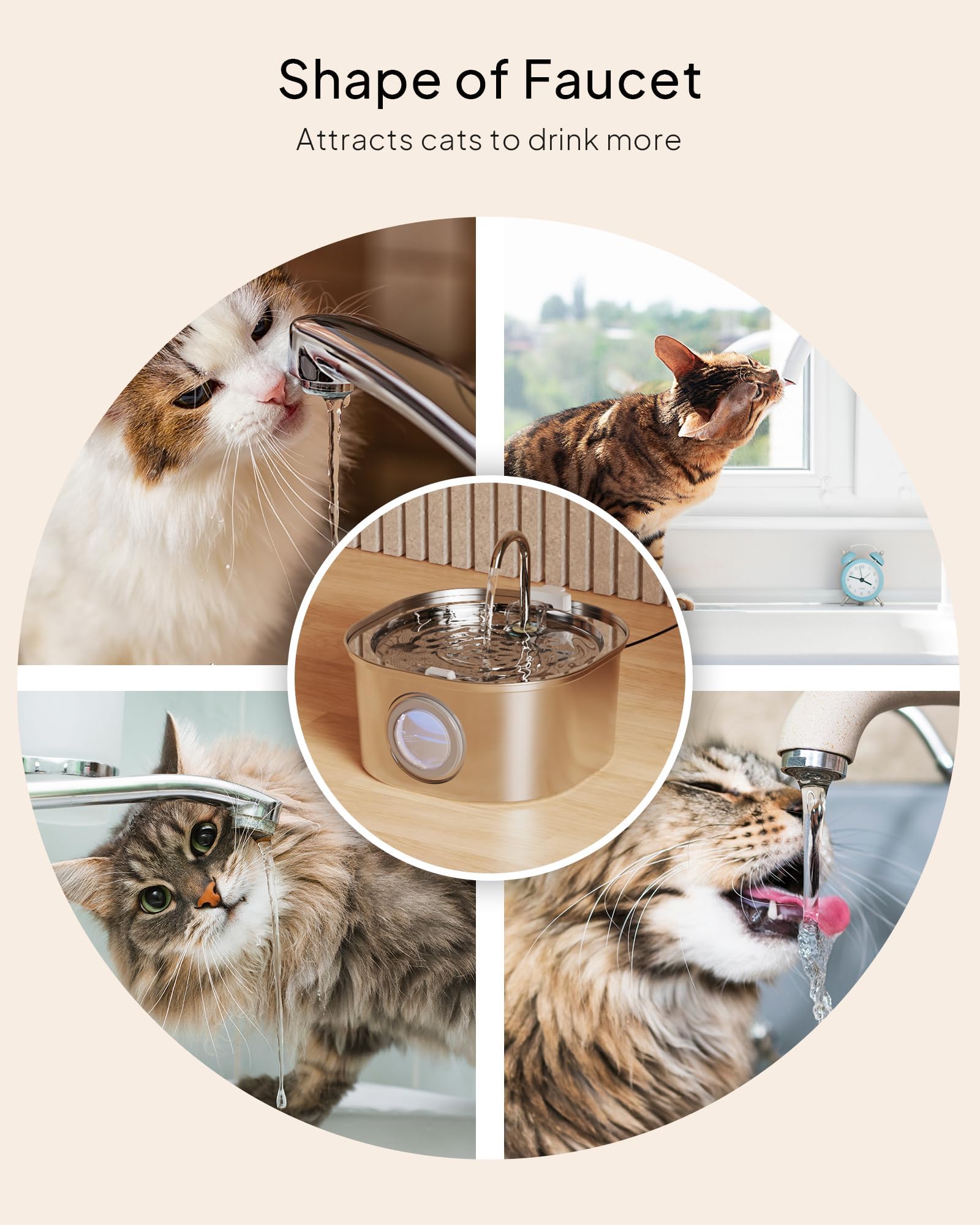 PEKTACO cat water fountain in use demonstrates pets enjoying refreshed hydration.
