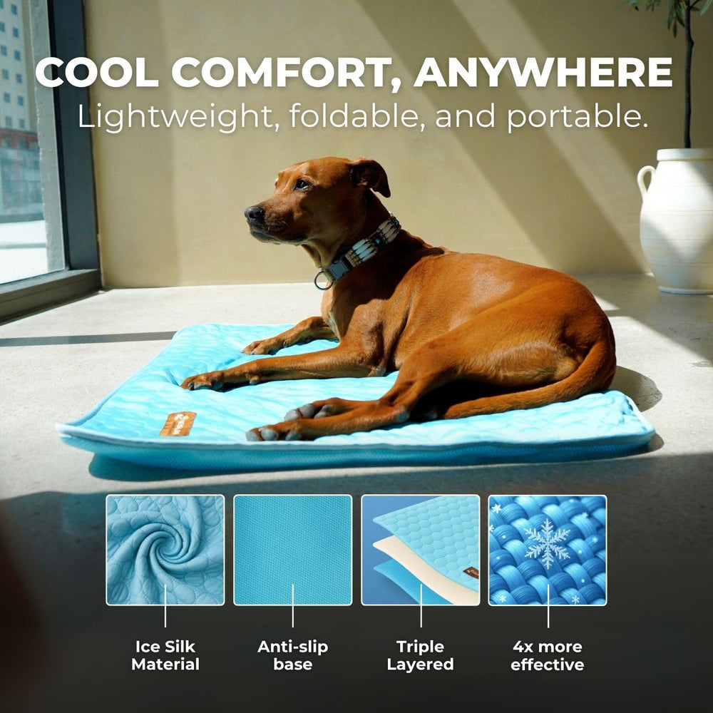 Pelsbarn indoor-outdoor mat suits home or patio lounging.