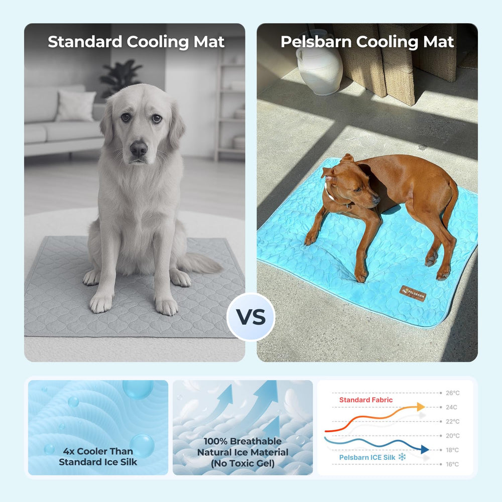 Pelsbarn anti-slip backing keeps pets steady during rest.