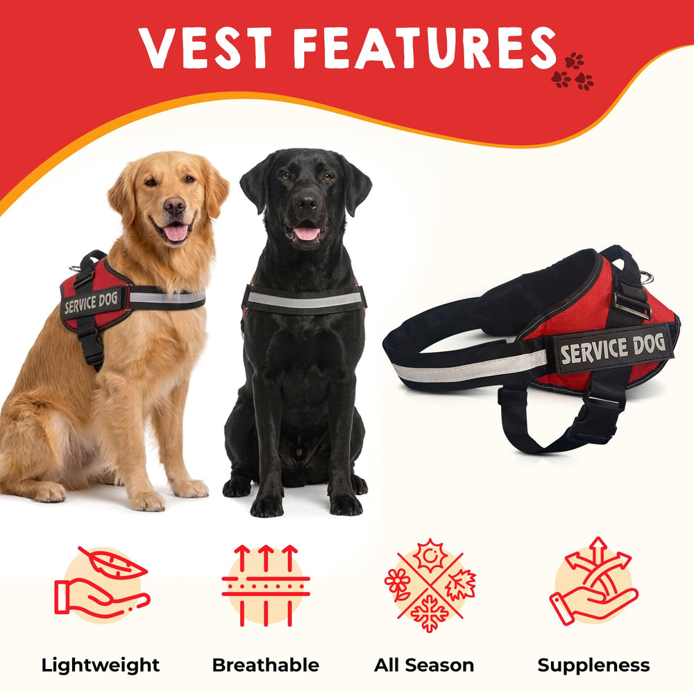 Pelto patch panel with SERVICE DOG patch for status signaling.