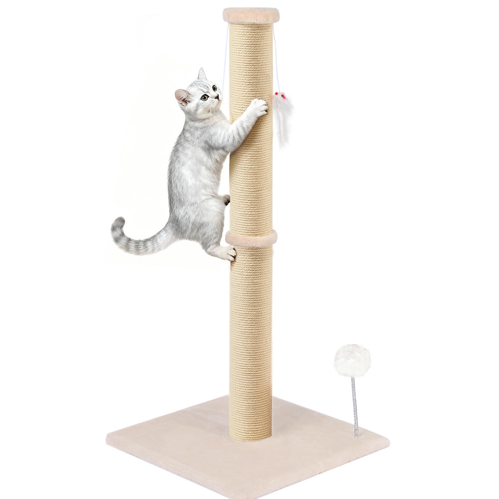 PEL UOMOZ 36-inch cat post with stable base for vigorous scratching.