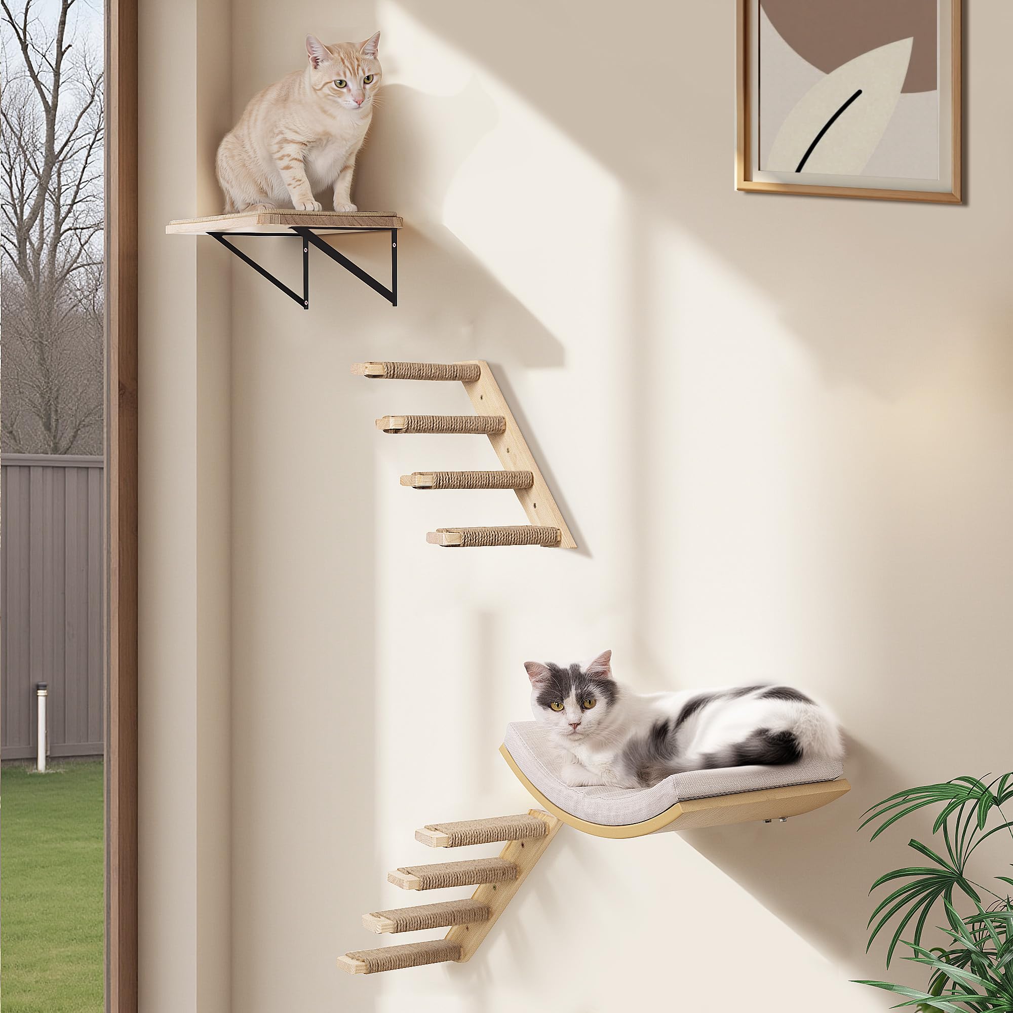 PELUMOZ cat climbing and resting on shelves showing versatility.