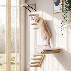 PELUMOZ cat stair shelf dimensions guide highlights compact design