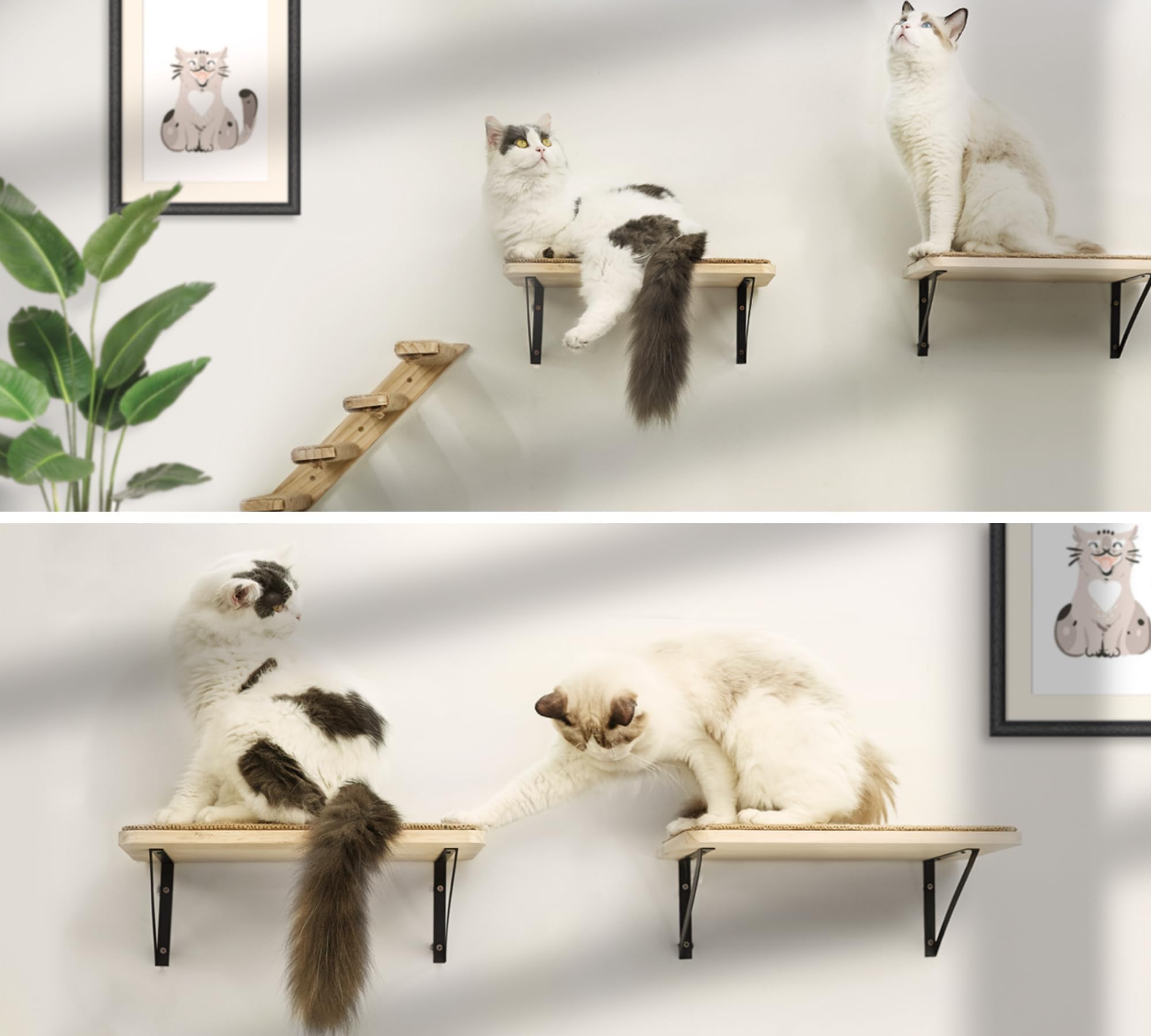 PELUMOZ easy-care wood finish supports daily cat use.