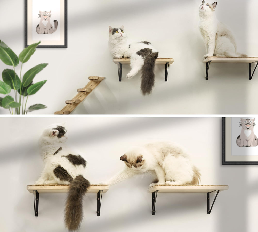 PELUMOZ easy-care wood finish supports daily cat use.