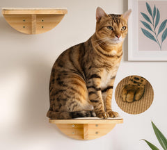 PELUOMOZ wood cat wall shelf square right with sisal mat promoting vertical exploration