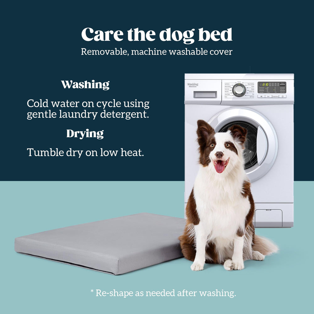 Pelzin Cybarmour bed features orthopedic foam for comfort