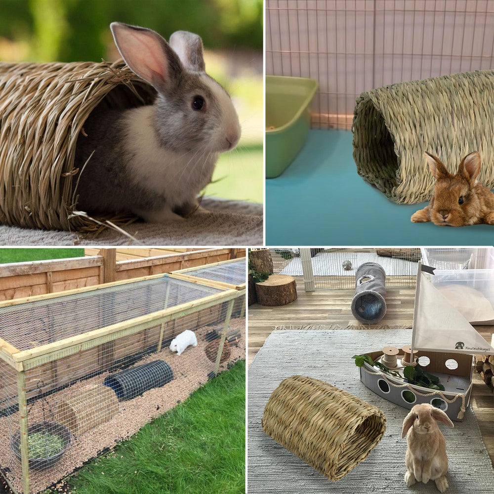PEMAR Seagrass House Tunnel Hutch, eco-friendly design supports a natural habitat indoors.