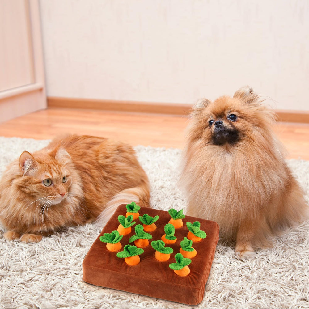 Penitue indoor pet toy on floor supports bonding and focused activity.
