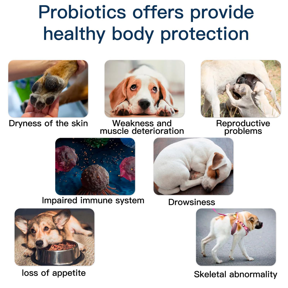 Penkyer dog probiotics bottle positioned for immune support