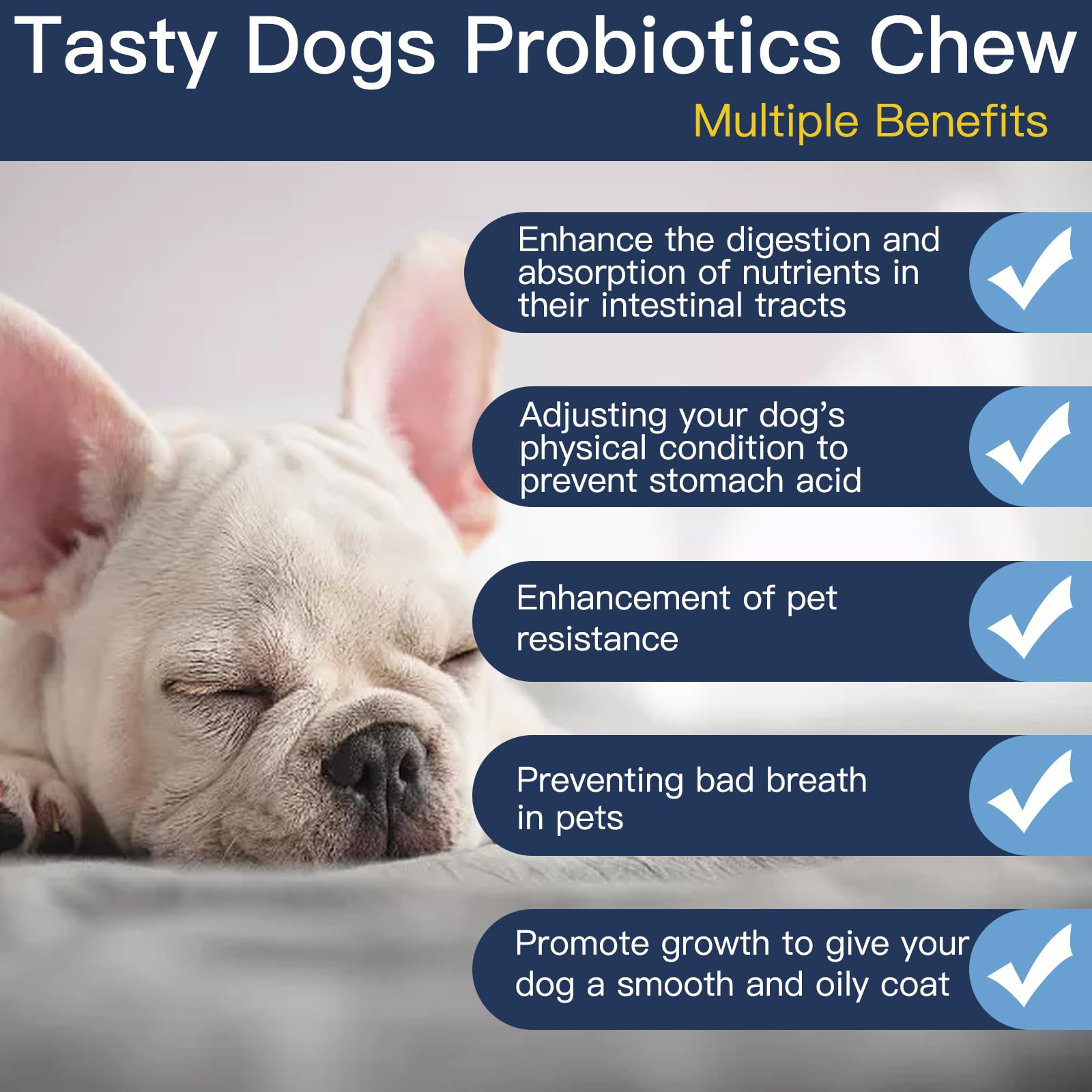 Penkyer probiotic ingredients layout highlights digestive enzymes and prebiotics for nutrient absorption