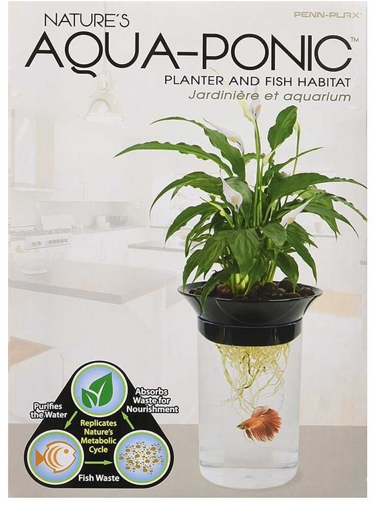 Penn-Plax ceramic media close-up demonstrates moisture retention for roots.