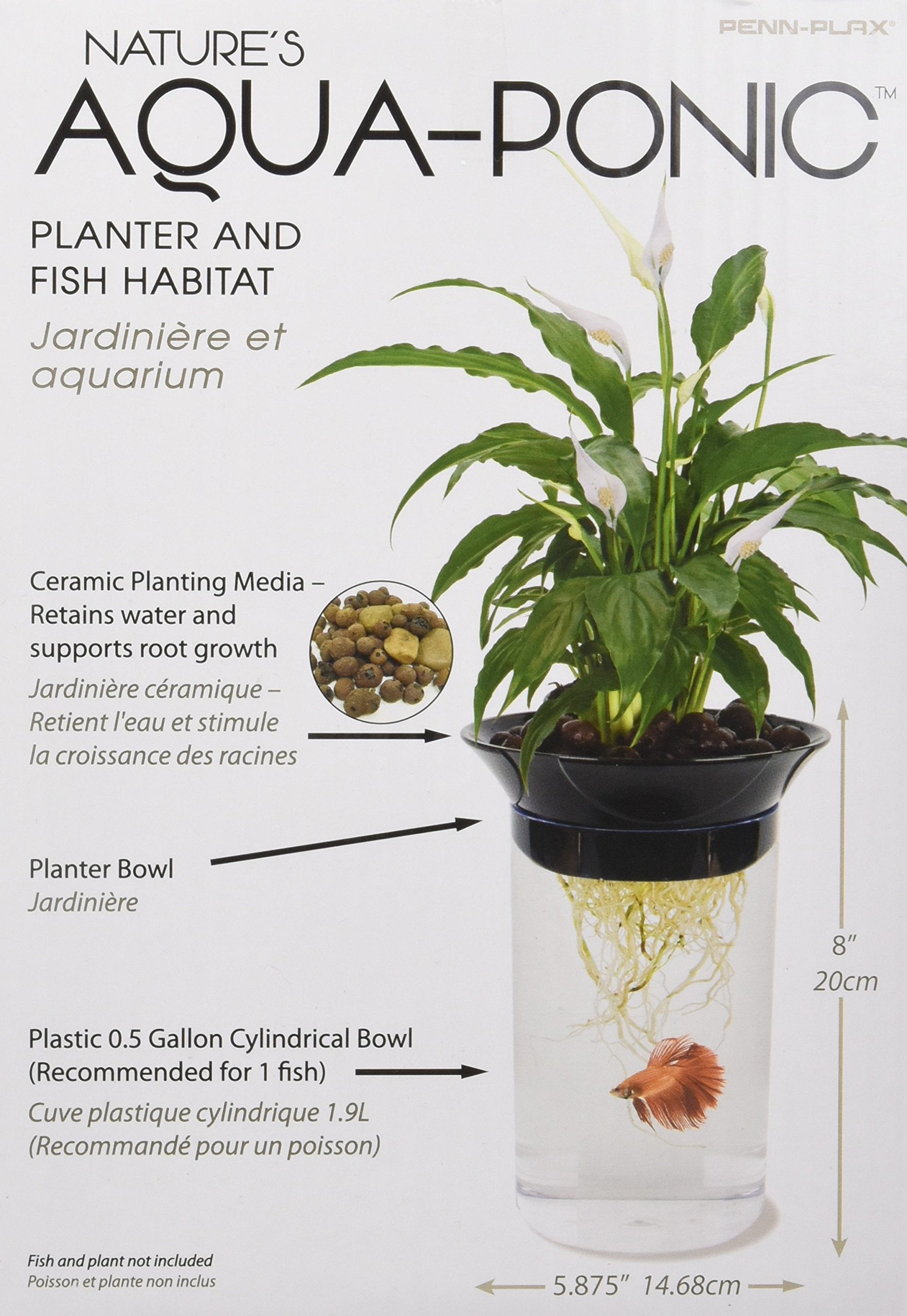 Penn-Plax betta fish in tank highlights a compact hydroponic setup.