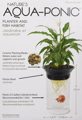 Penn-Plax betta fish in tank highlights a compact hydroponic setup.