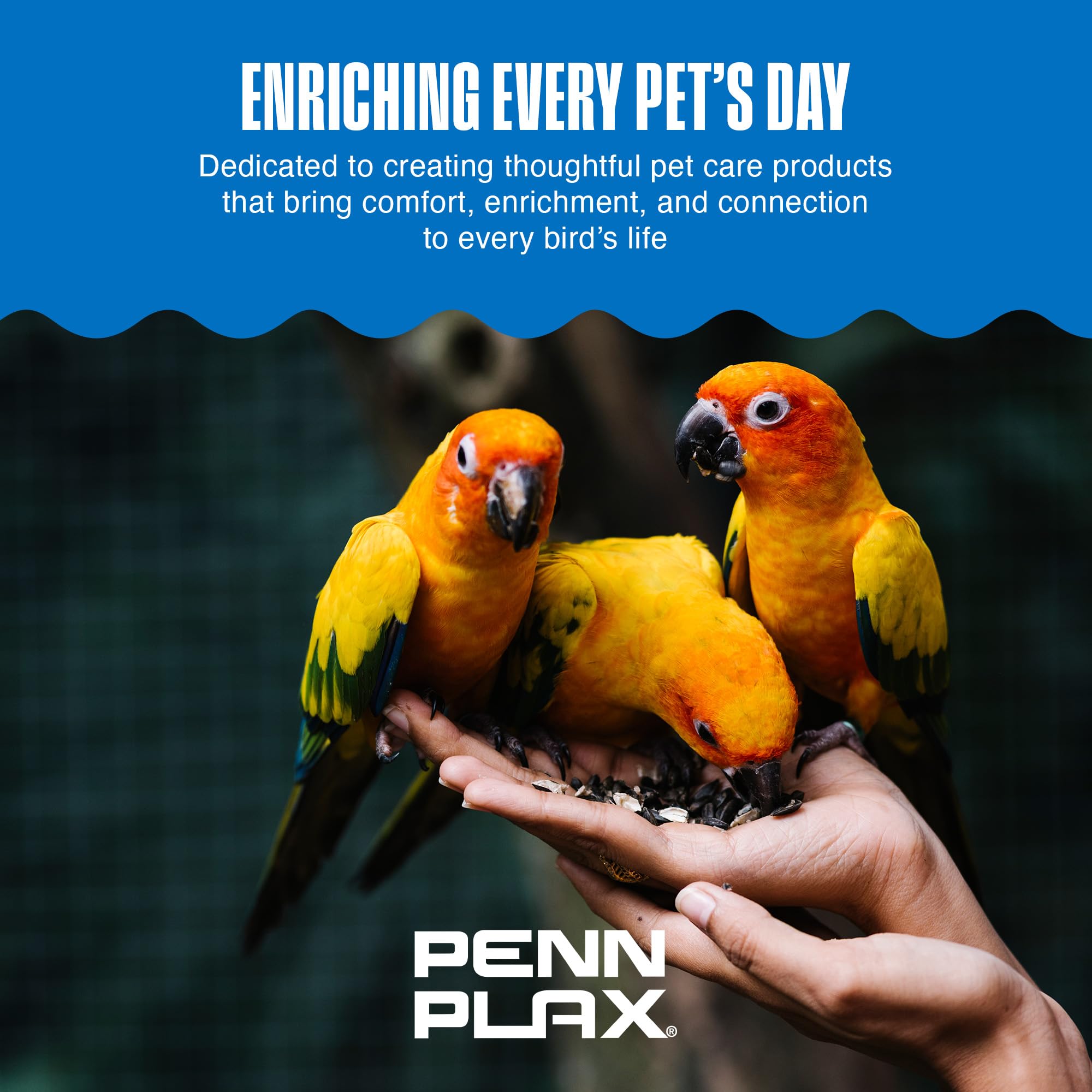 PENN-PLAX Bird-Life durable cuttlebone shape resists cracking during pecking.