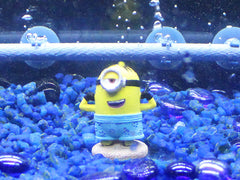 Penn-Plax Bob Minions ornament in tank—cute focal point for small setups