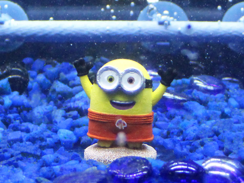 Penn-Plax double-sided Minions ornament—two angles of whimsy in one decor piece