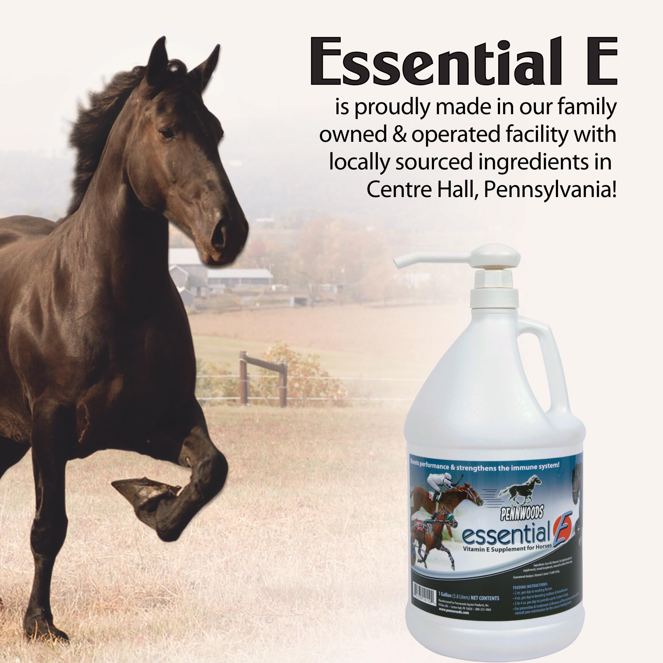 Pennwoods Essential E on stable shelf as premium equine nutrition.