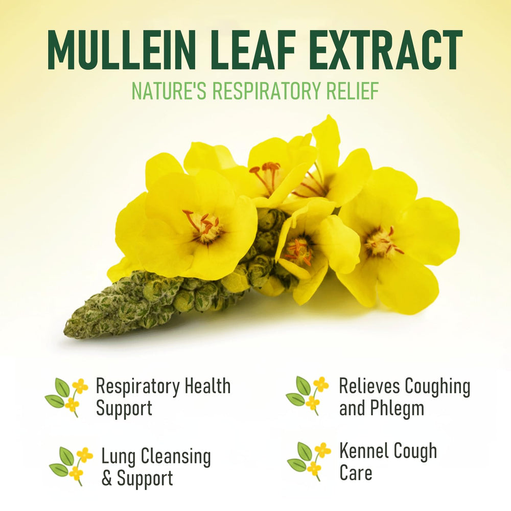 Penoran mullein drops dropper for easy dosing in dogs and cats.
