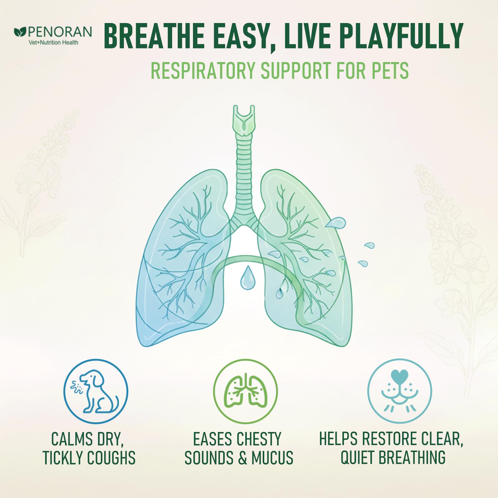 Penoran mullein lung drops label with ingredients and usage guidance.
