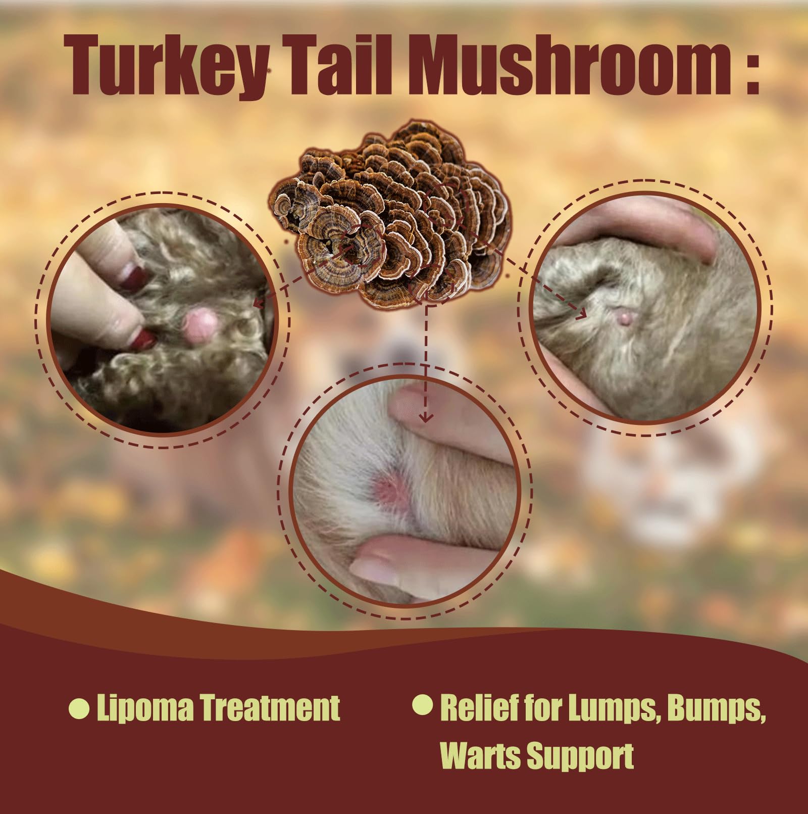 Penoran Turkey Tail Drops dosing portion shown for consistent administration