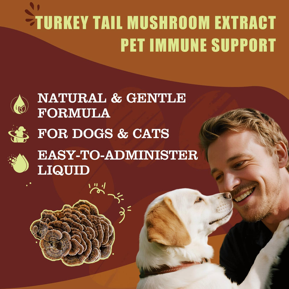 Penoran Turkey Tail Drops dropper showing precise measurement for accurate dosing