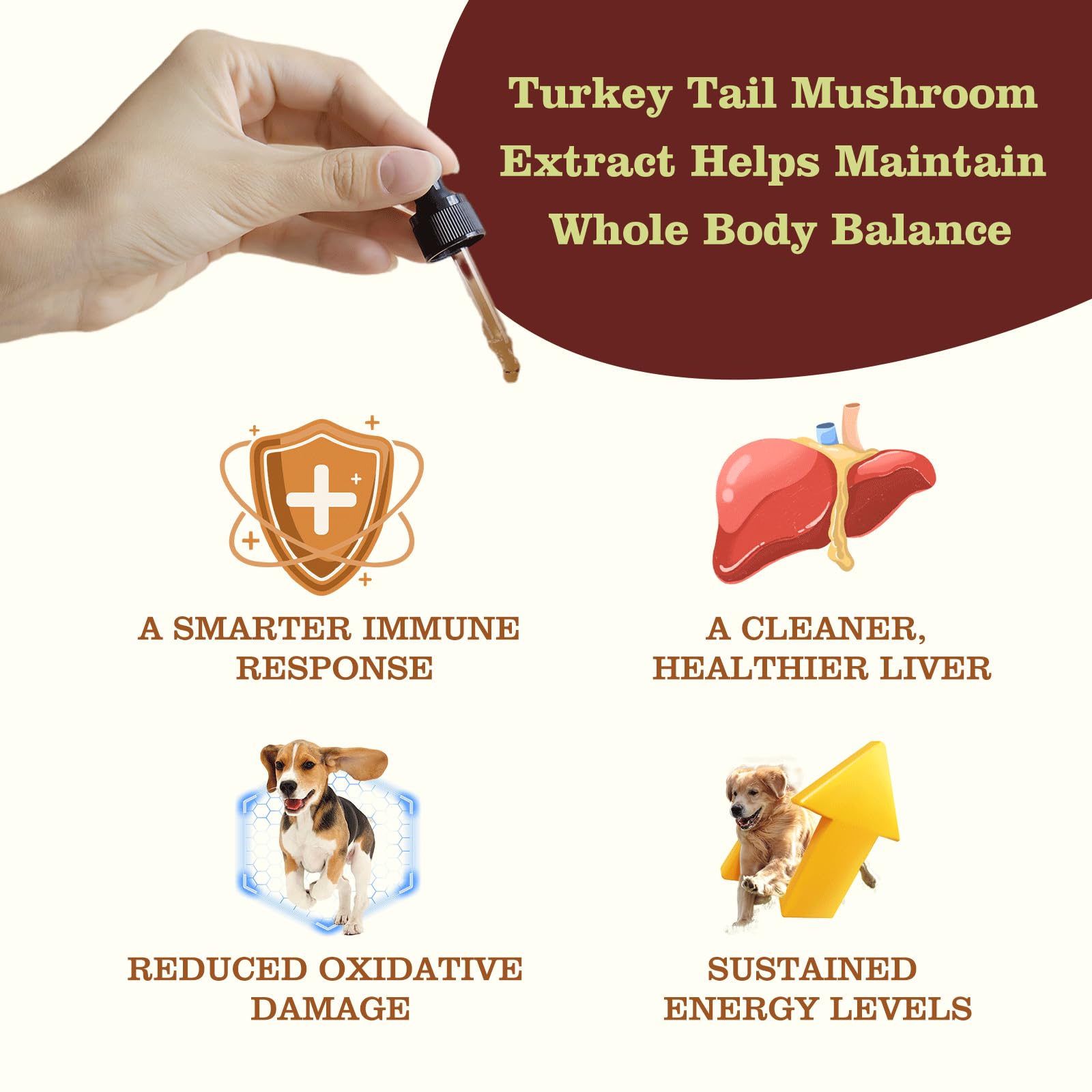 Penoran Turkey Tail Drops mixed in water for easy administration