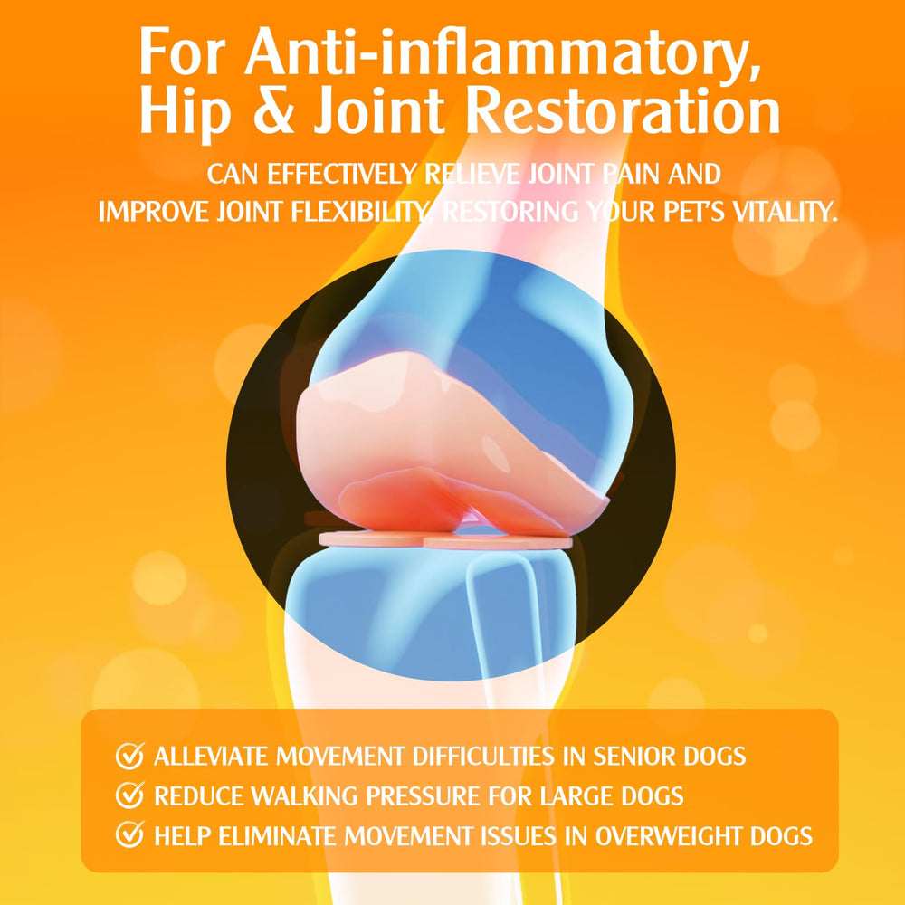 Penoran Turmeric Curcumin Drops on a senior dog, suggesting mobility support.