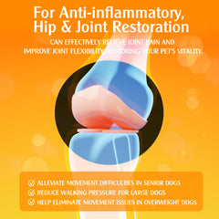 Penoran Turmeric Curcumin Drops on a senior dog, suggesting mobility support.