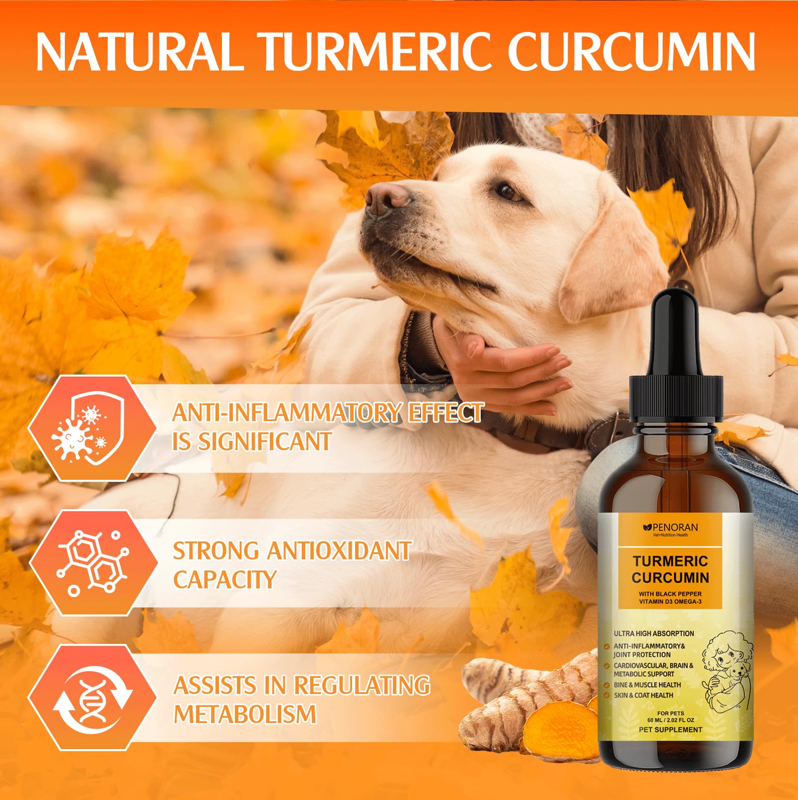 Penoran Turmeric Curcumin Drops dropper dispensing liquid for easy dosing.