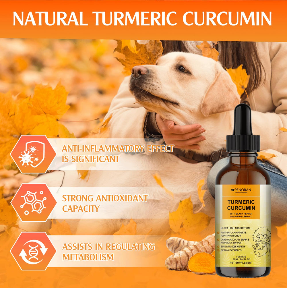 Penoran Turmeric Curcumin Drops dropper dispensing liquid for easy dosing.