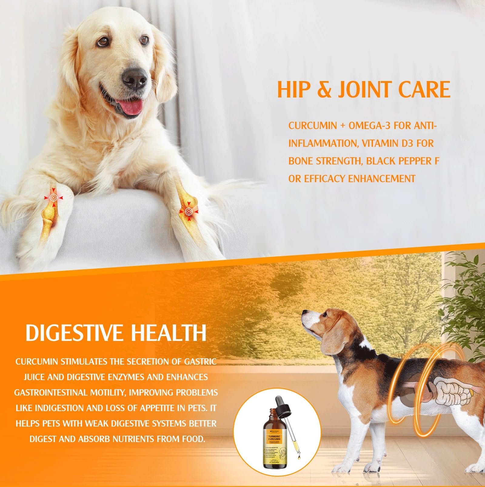 Penoran Turmeric Curcumin Drops being mixed with dog food for daily nutrition.