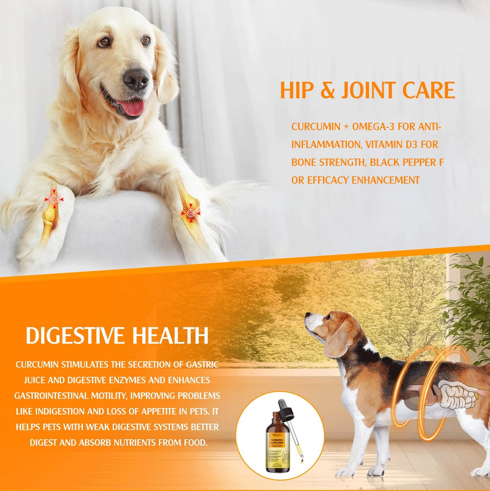 Penoran Turmeric Curcumin Drops being mixed with dog food for daily nutrition.