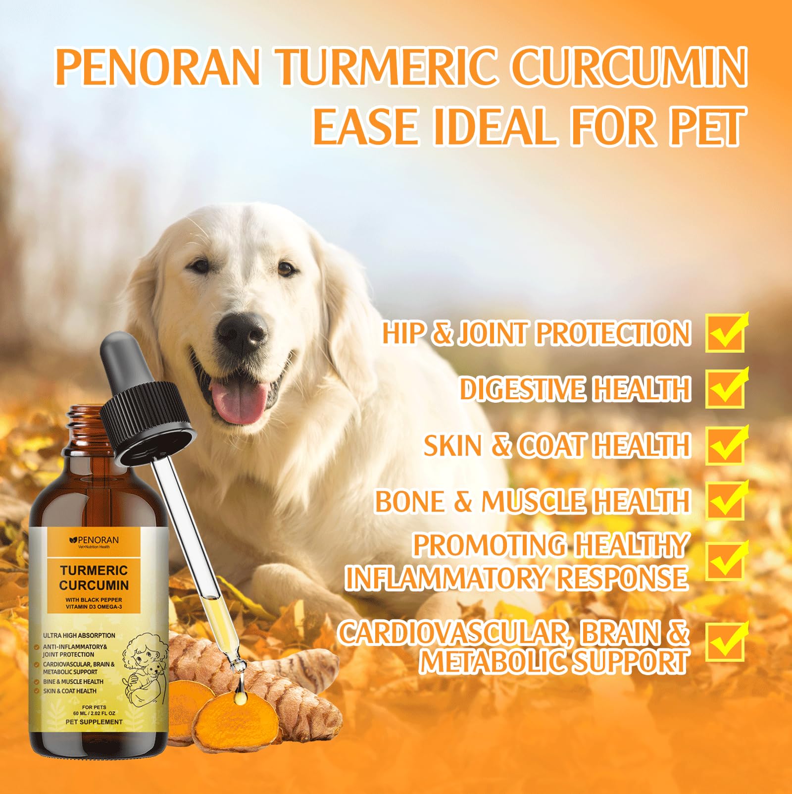 Penoran Turmeric Curcumin Drops routine setup for ongoing pet care.