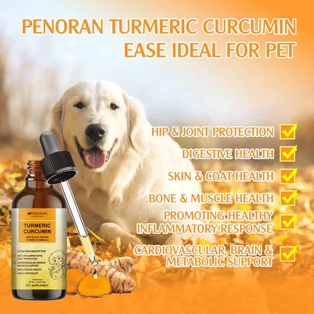 Penoran Turmeric Curcumin Drops routine setup for ongoing pet care.