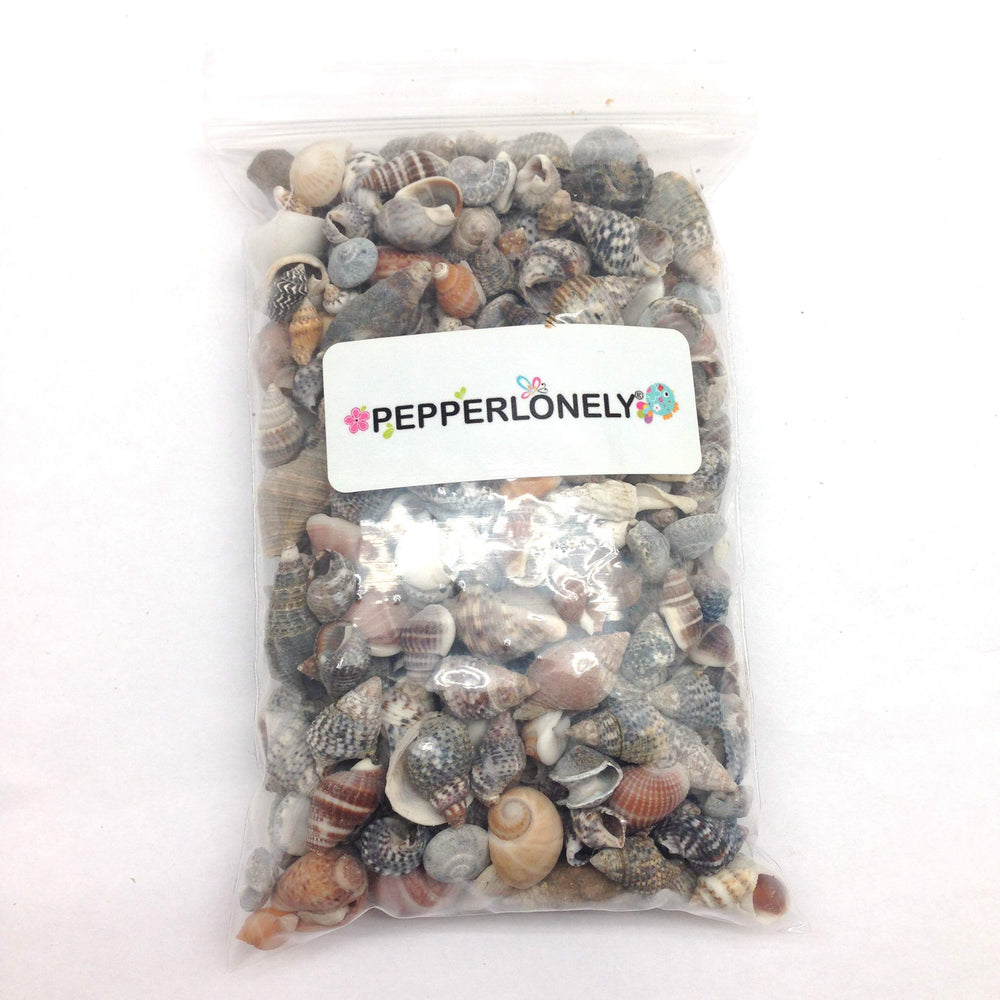 PEPPERLONELY Indian Ocean shells, 1/4 inch to 1 inch range, perfect for jewelry.