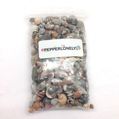 PEPPERLONELY Indian Ocean shells, 1/4 inch to 1 inch range, perfect for jewelry.