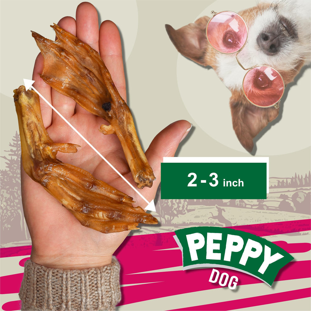 PEPPY DOG dehydrated duck feet close-up emphasizing freshness and crunchy chew.