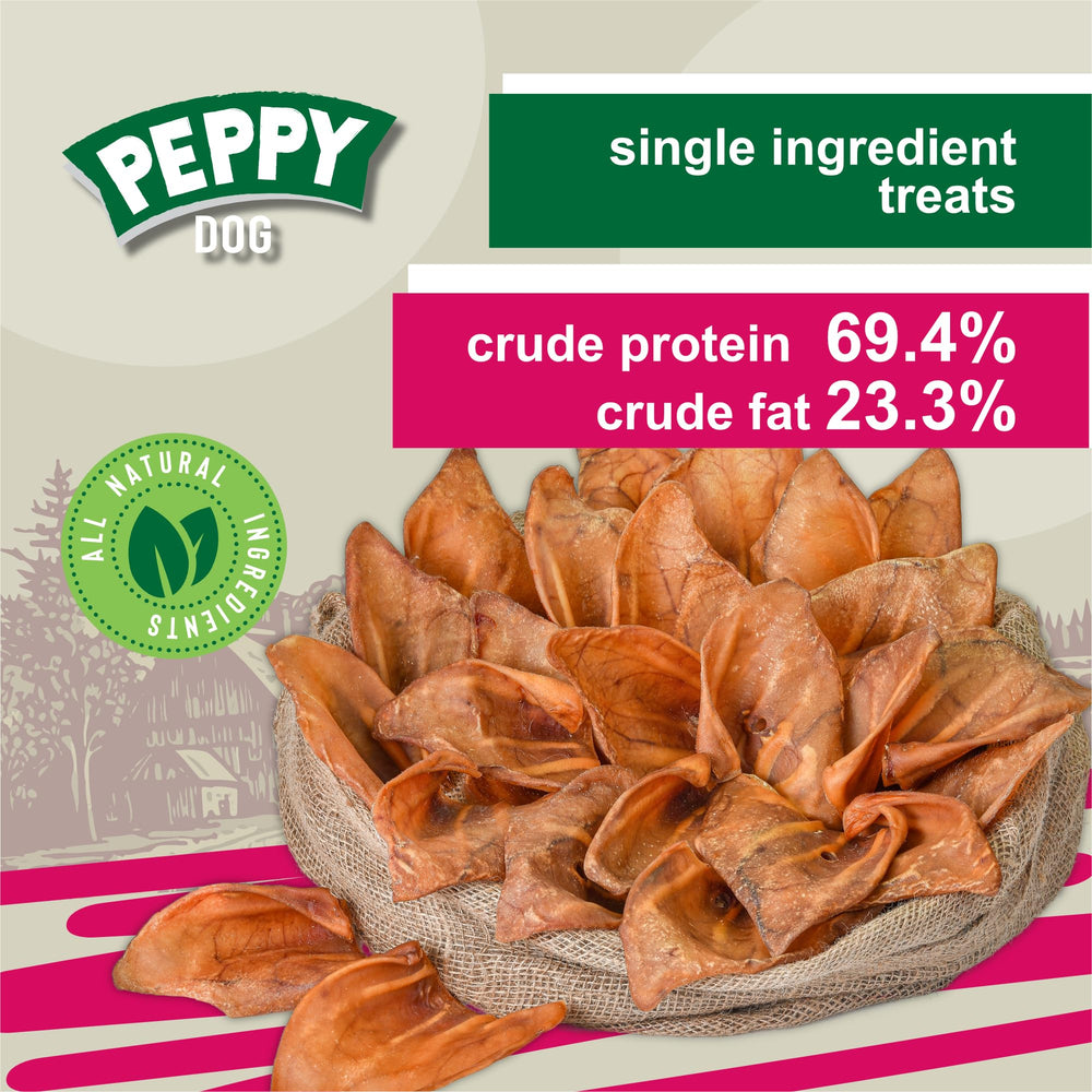 Peppy Dog dog chewing pig ears; long-lasting chew experience.
