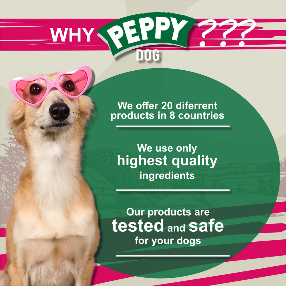 Small to medium dogs enjoying a chewy chicken feet treat from Peppy Dog.