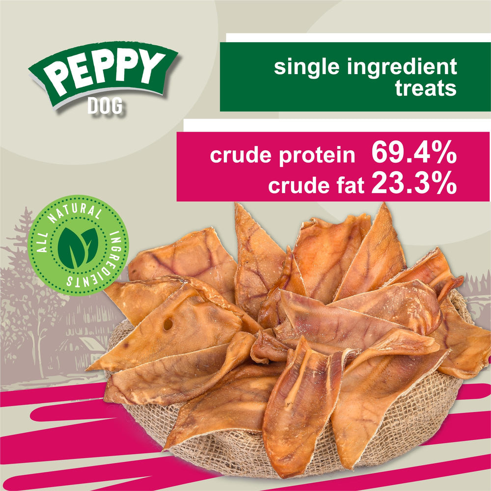 Peppy Dog Half Pig Ears dog chew action ready to bite.