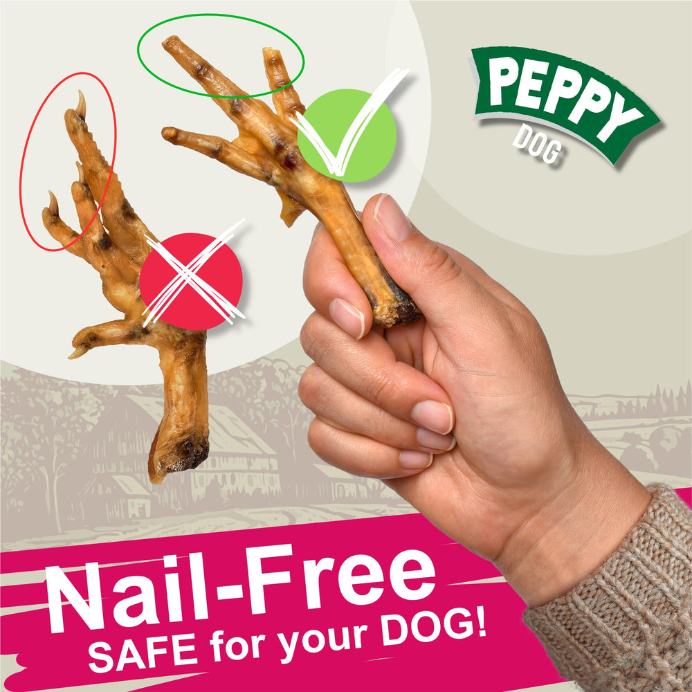 Serving suggestion shows easy-to-handle snack for medium breeds.
