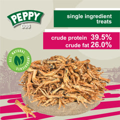 Peppy Dog treats being offered to a dog during snack time.
