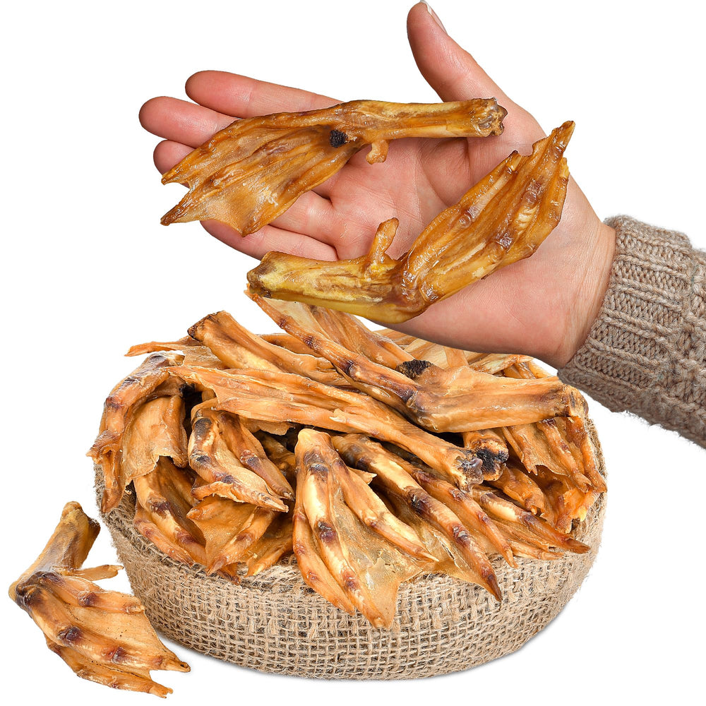 PEPPY DOG duck feet treats closeup showing crisp, savory snack ideal for training rewards.