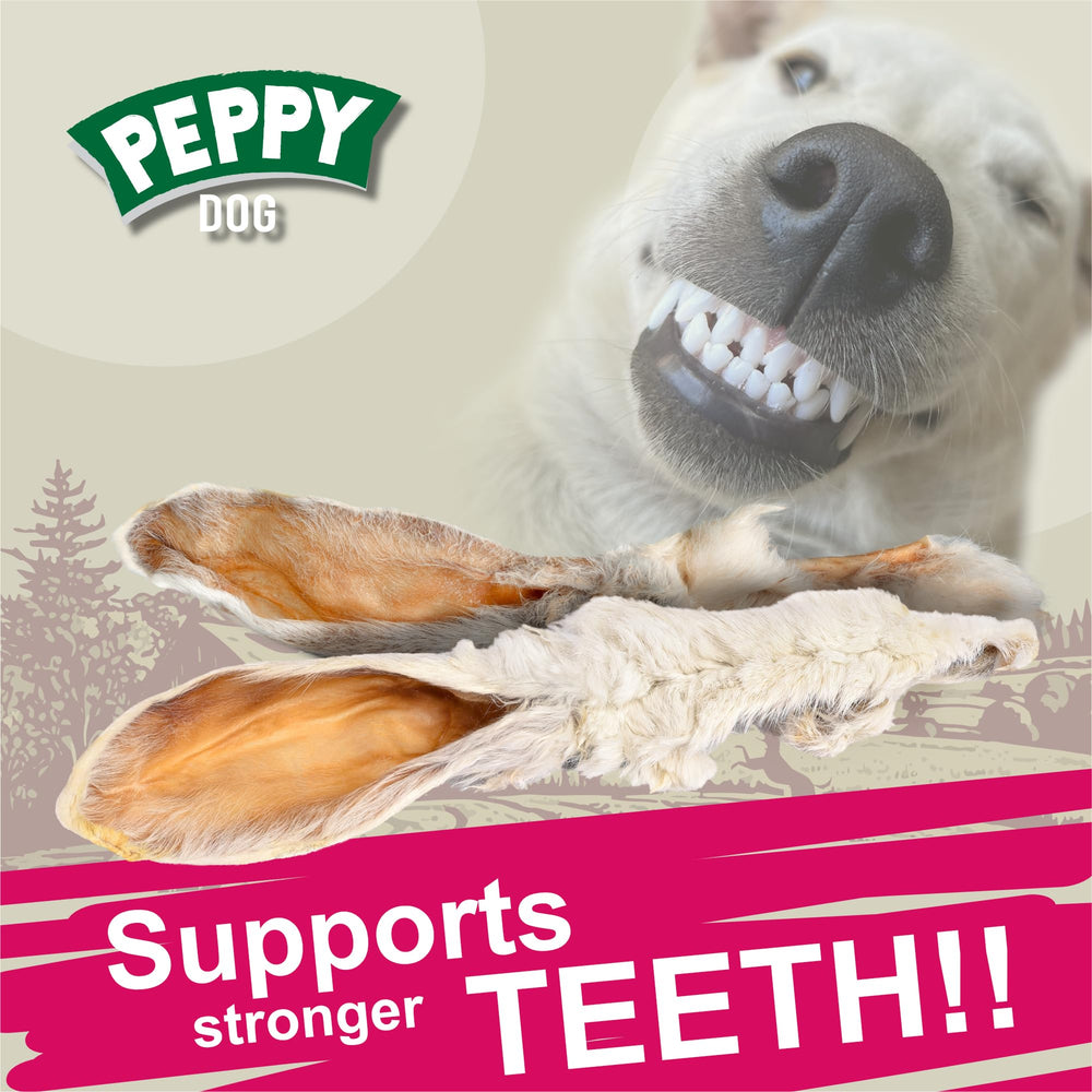 Peppy Dog Rabbit Ears with Fur — dog enjoying chew; suitable for all sizes