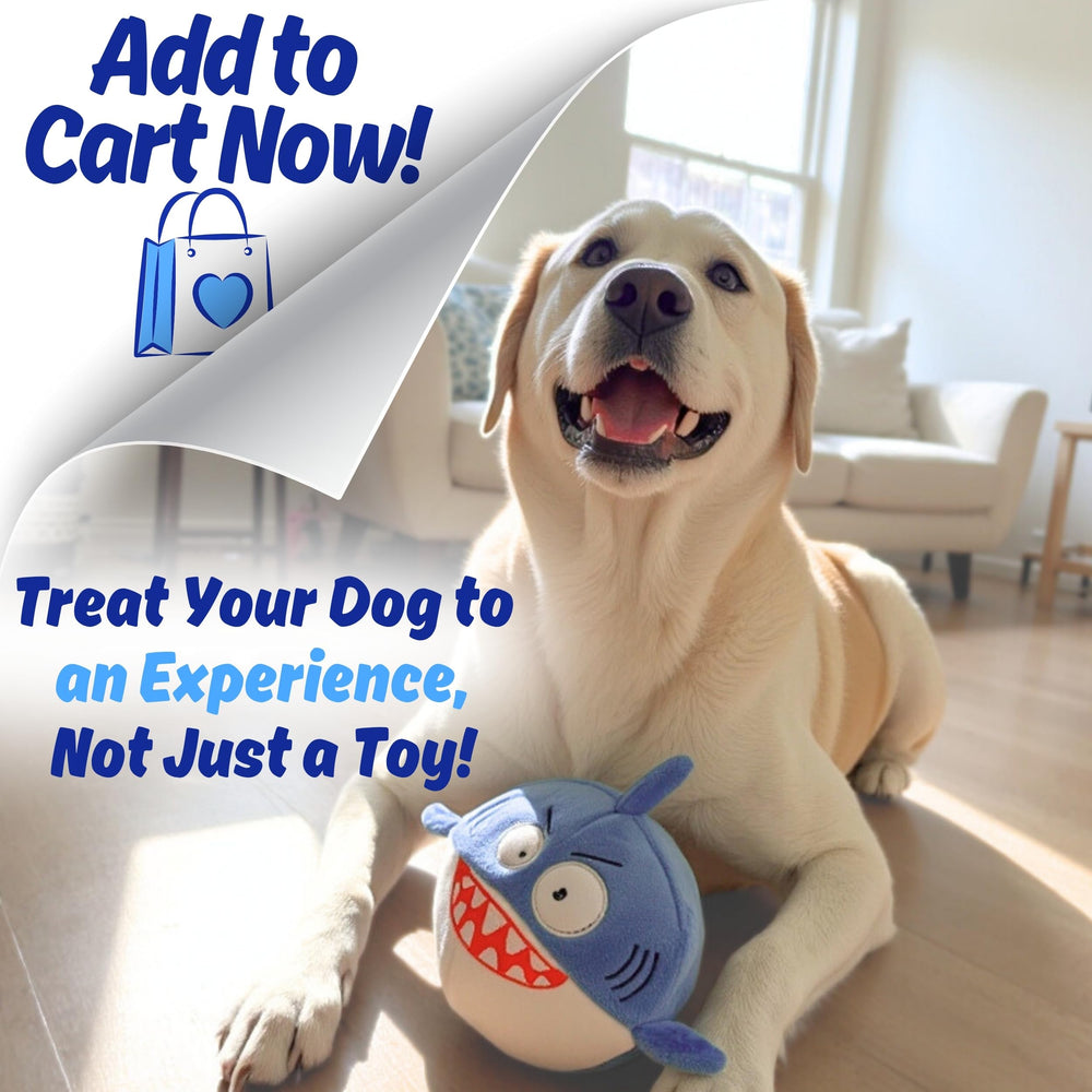 PeppyPawz Sharky gift-ready packaging ideal for birthdays or holidays