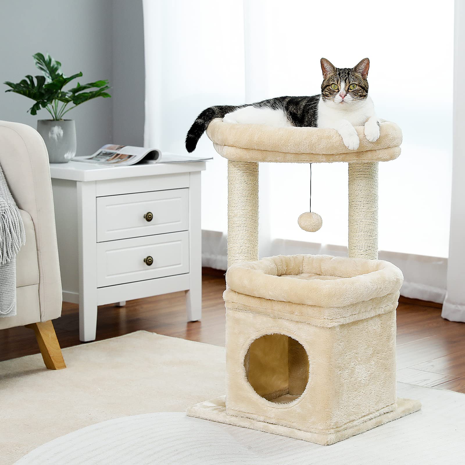 PEQULTI top perch for two kittens beige invites shared lounging and viewing.