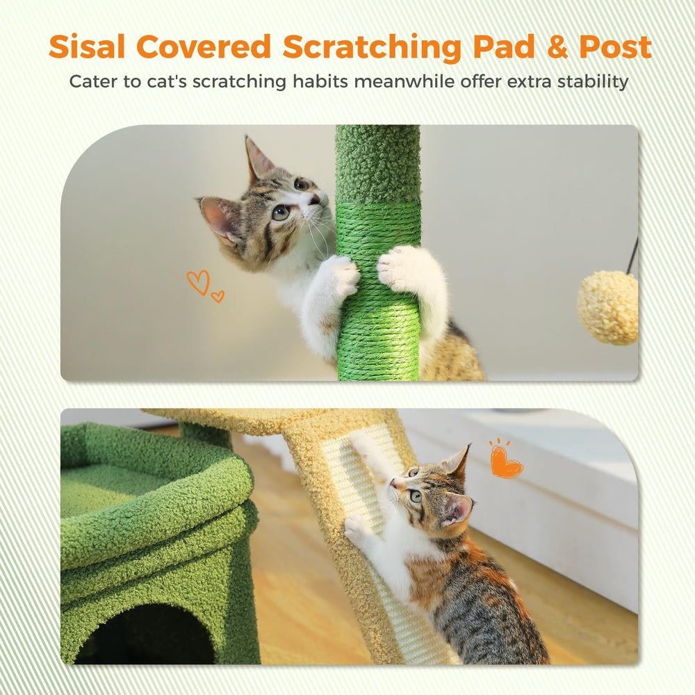 PEQULTI cactus wide base enhances stability during use